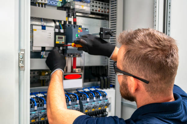 Best Electrical Panel Upgrades  in Woodstock, VA